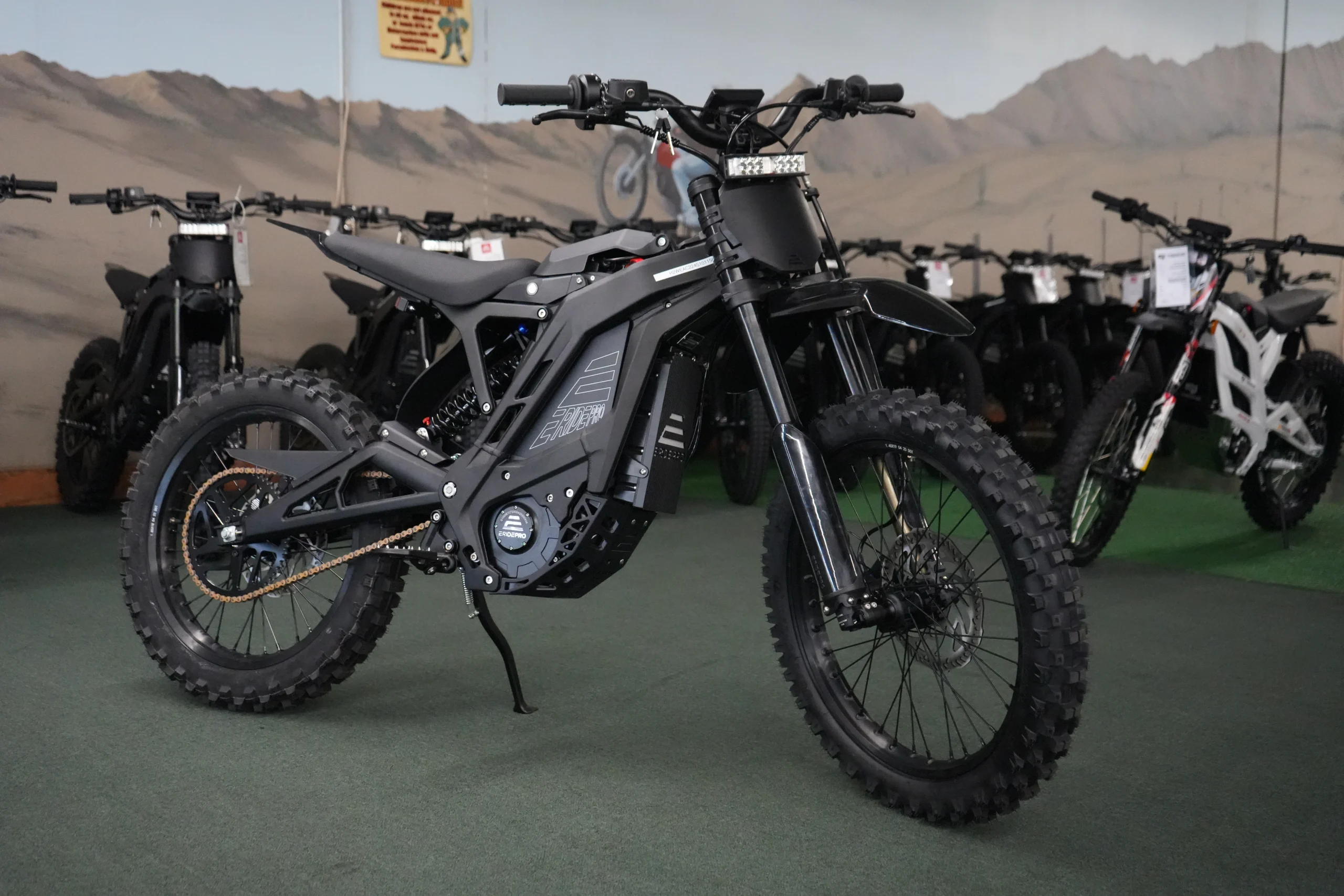E Ride Pro SR